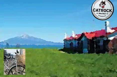 レンタルバイク CAT ROCK