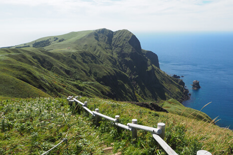 桃岩展望台コース