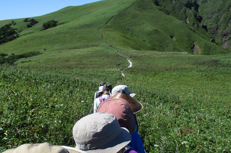 ONSENガストロノミーウォーキング