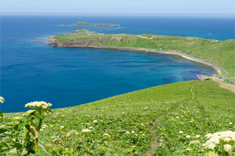 礼文島トレイルセブン