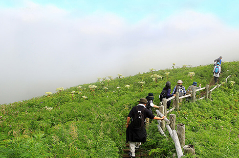 礼文アウトドアガイド